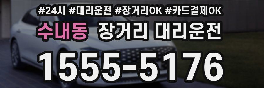 수내동 장거리 대리운전