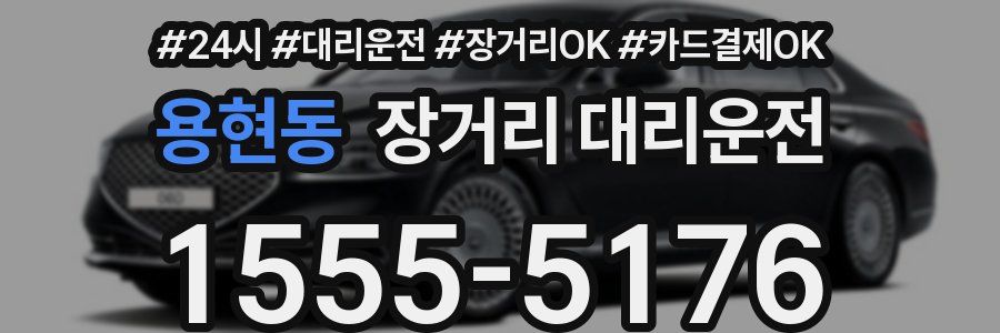 용현동 장거리 대리운전