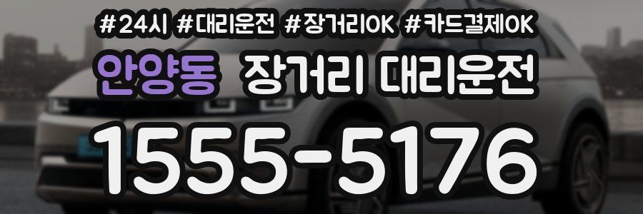 안양동 장거리 대리운전