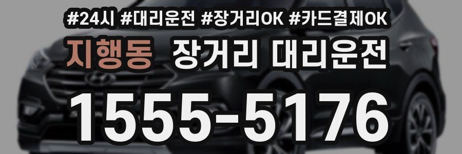 지행동 장거리 대리운전