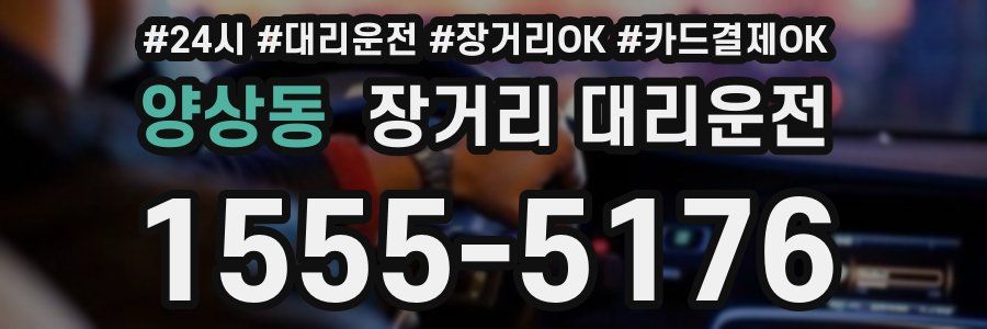 양상동 장거리 대리운전