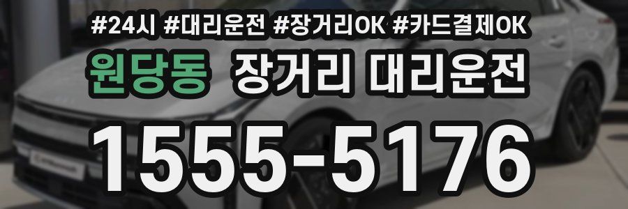 원당동 장거리 대리운전