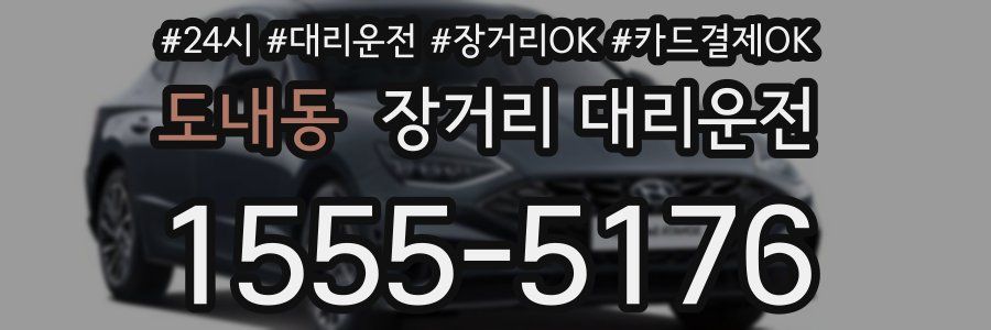 도내동 장거리 대리운전