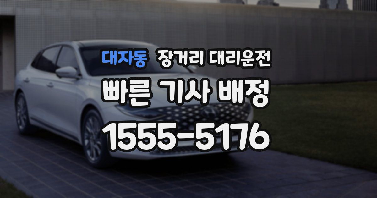 대자동 장거리 대리운전