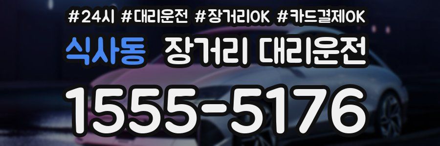 식사동 장거리 대리운전