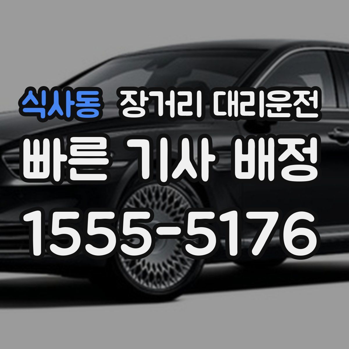 식사동 장거리 대리운전