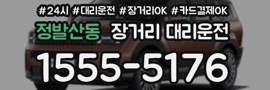 정발산동 장거리 대리운전