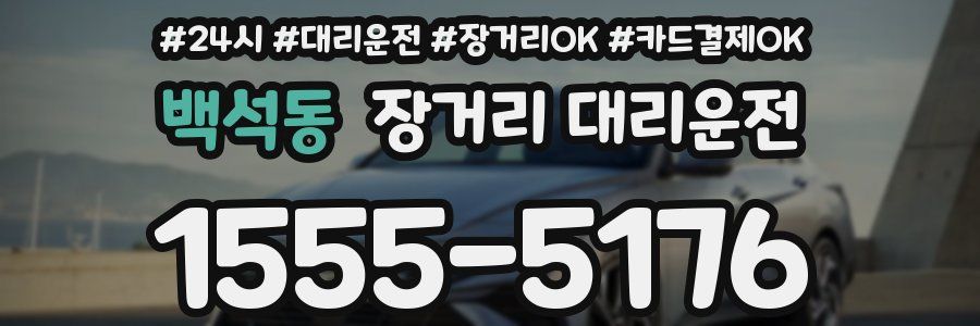 백석동 장거리 대리운전
