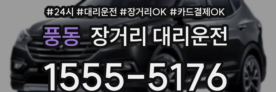 풍동 장거리 대리운전