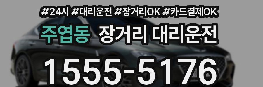 주엽동 장거리 대리운전