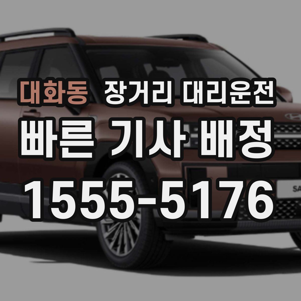 대화동 장거리 대리운전