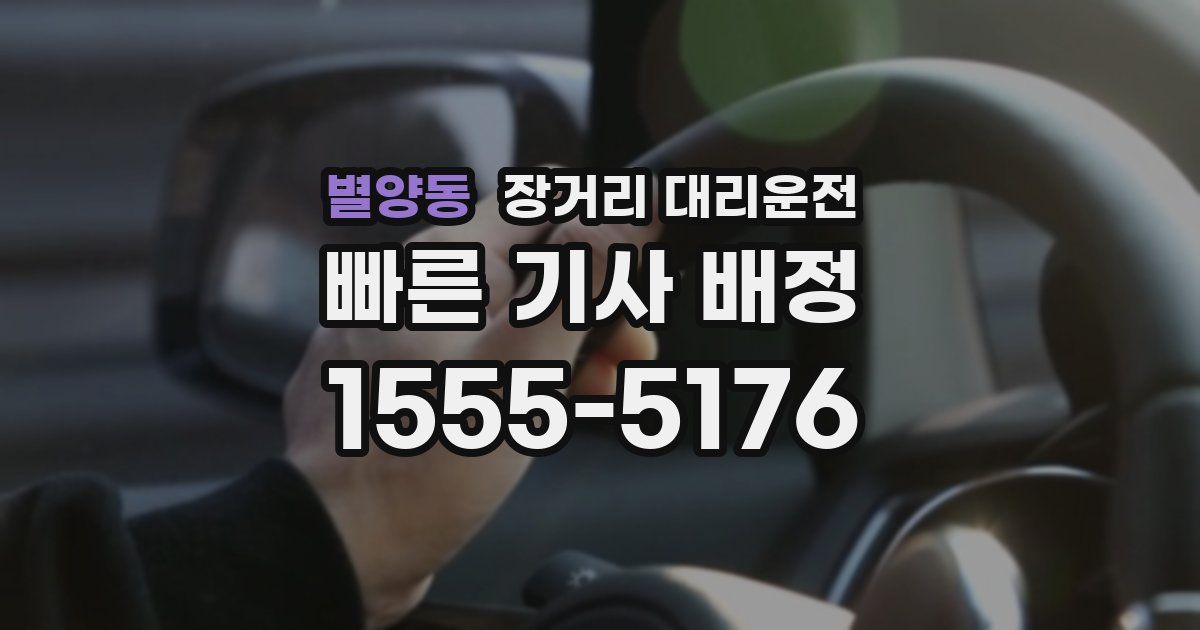 별양동 장거리 대리운전