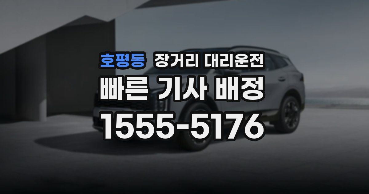 호평동 장거리 대리운전