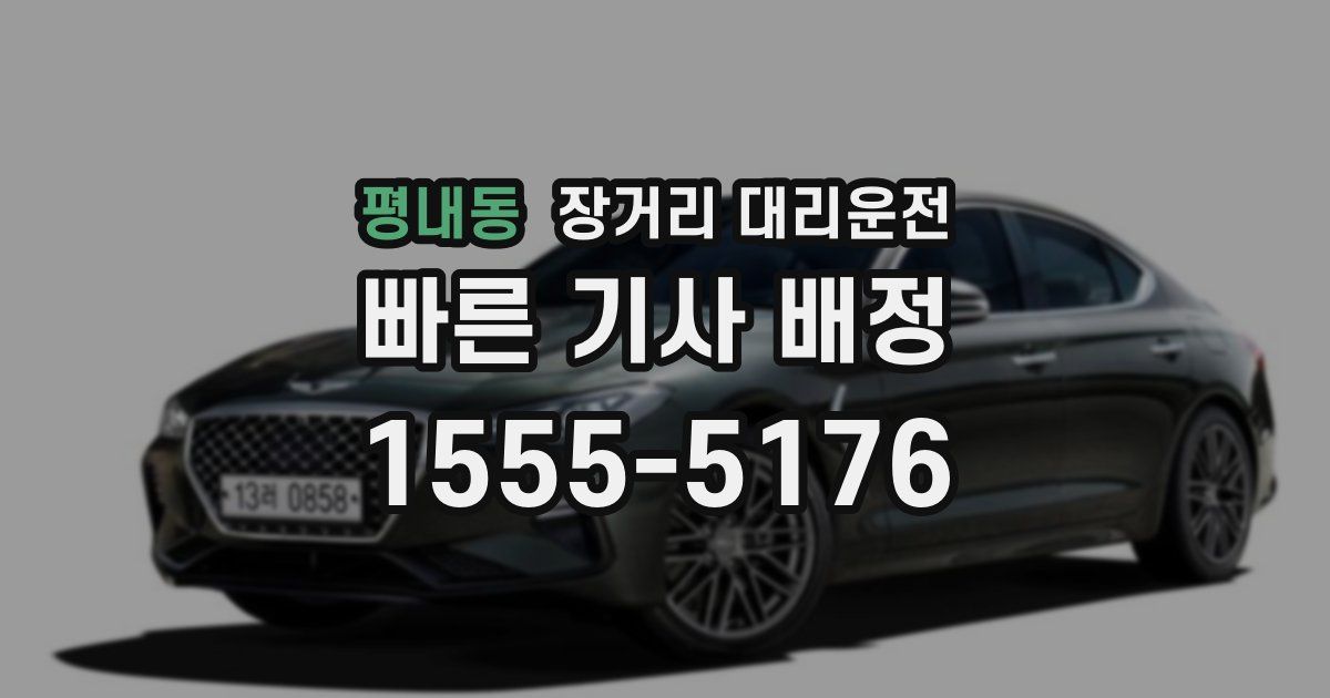평내동 장거리 대리운전