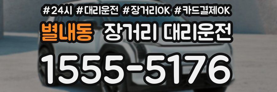 별내동 장거리 대리운전