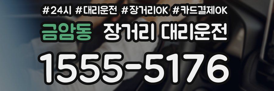 금암동 장거리 대리운전