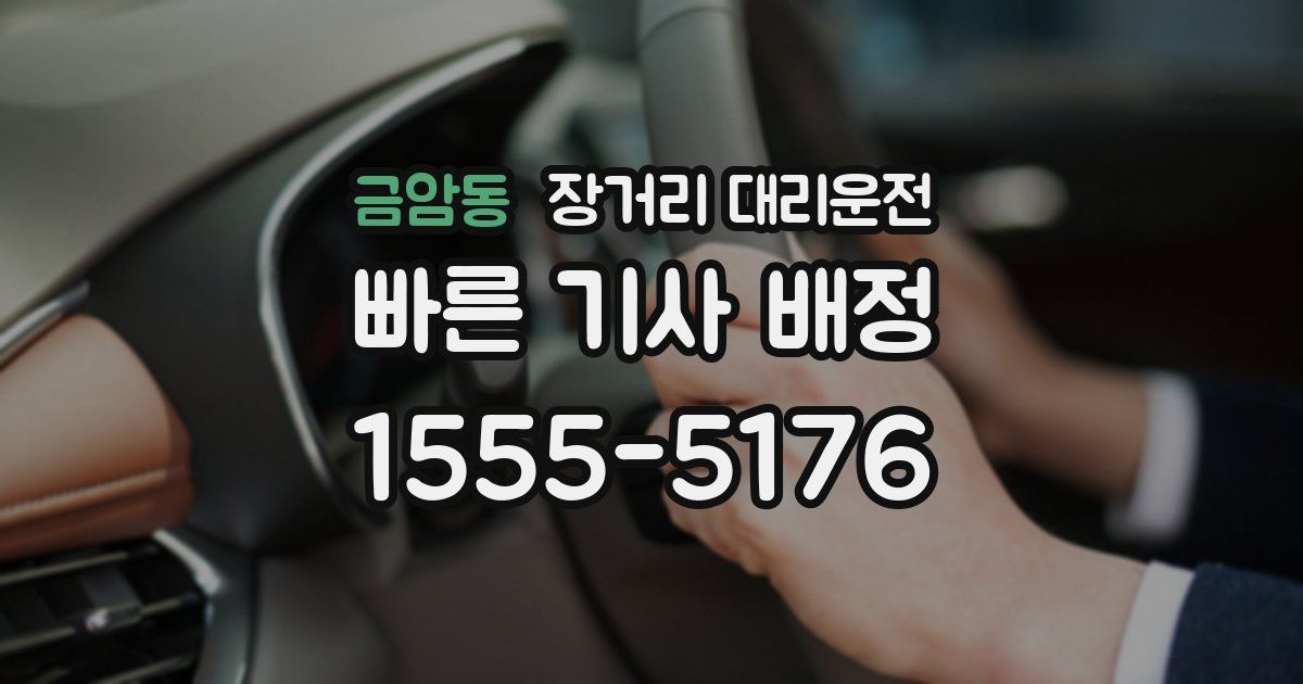 금암동 장거리 대리운전