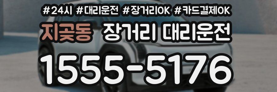 지곶동 장거리 대리운전
