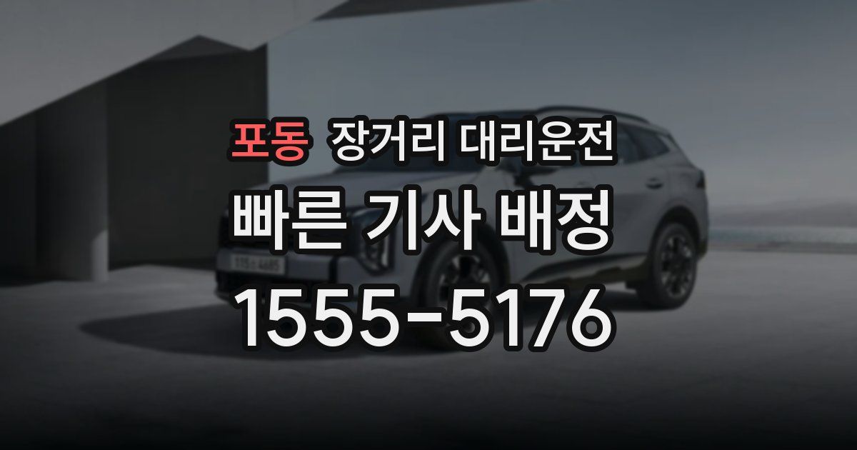 포동 장거리 대리운전