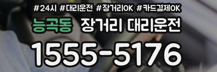 능곡동 장거리 대리운전