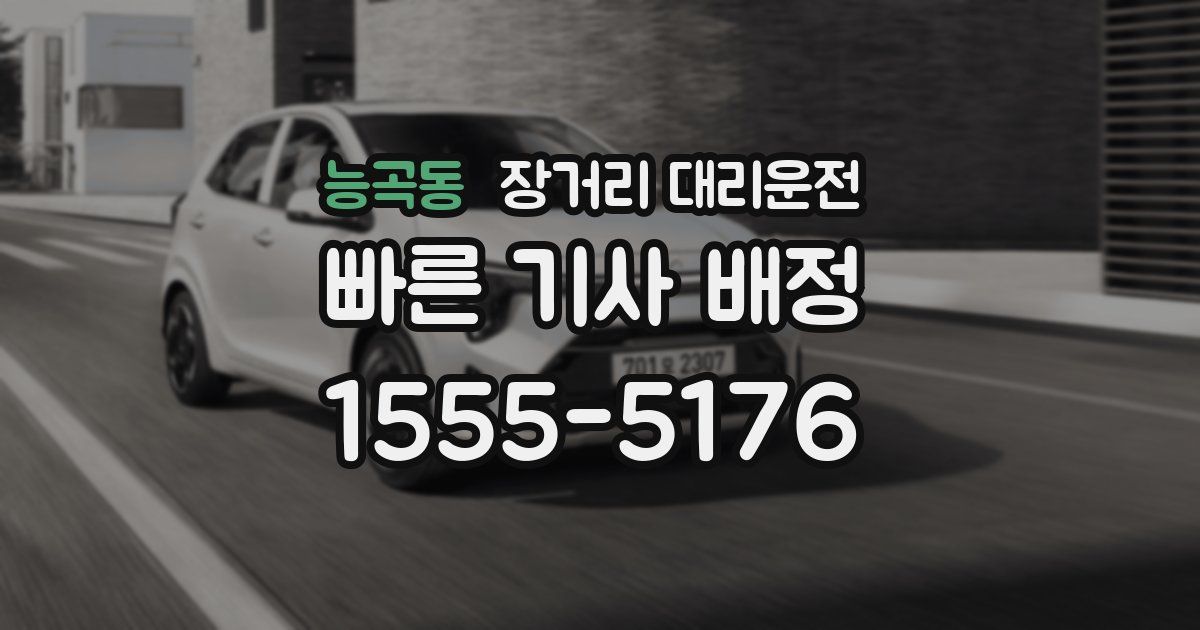 능곡동 장거리 대리운전