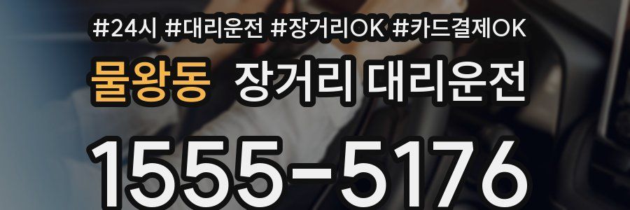물왕동 장거리 대리운전