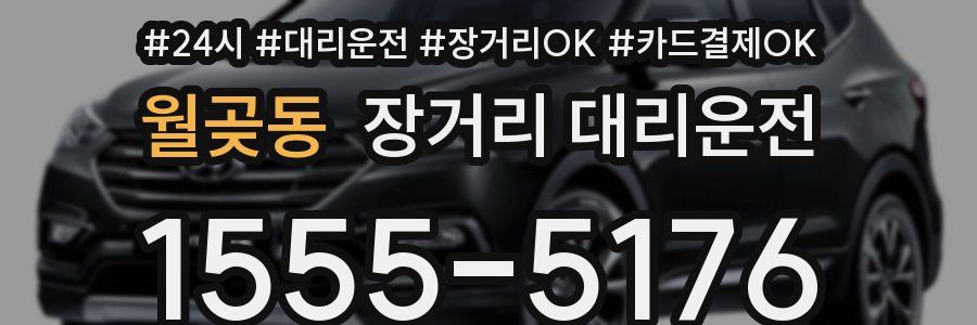 월곶동 장거리 대리운전