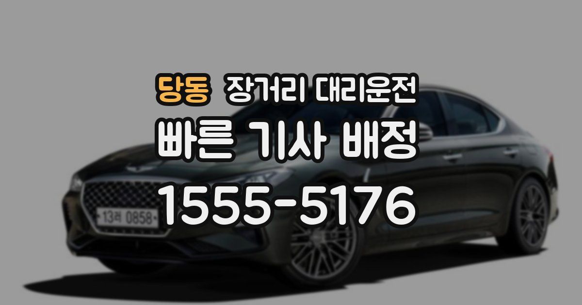 당동 장거리 대리운전