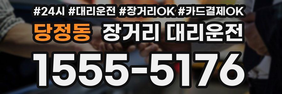 당정동 장거리 대리운전