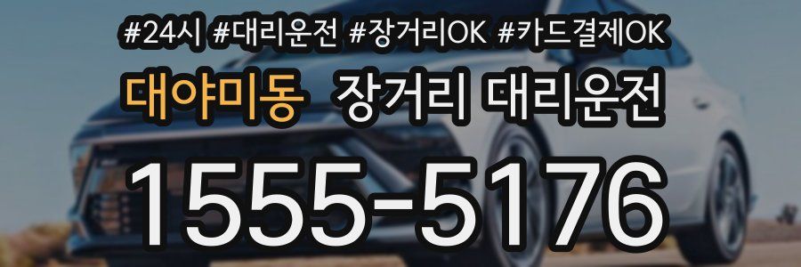 대야미동 장거리 대리운전
