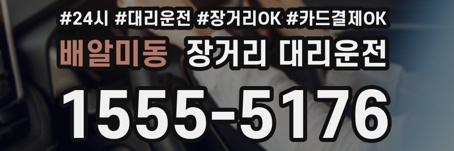 배알미동 장거리 대리운전