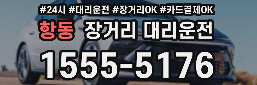 항동 장거리 대리운전