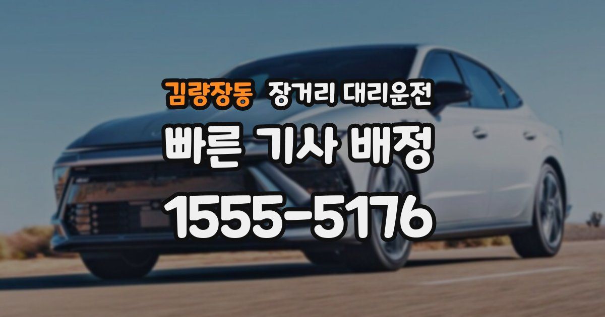 김량장동 장거리 대리운전