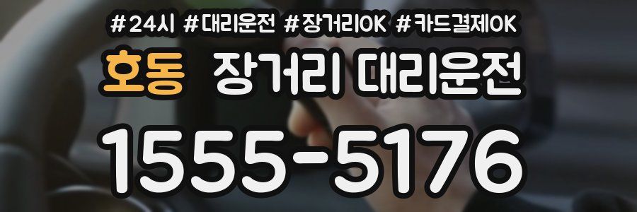 호동 장거리 대리운전