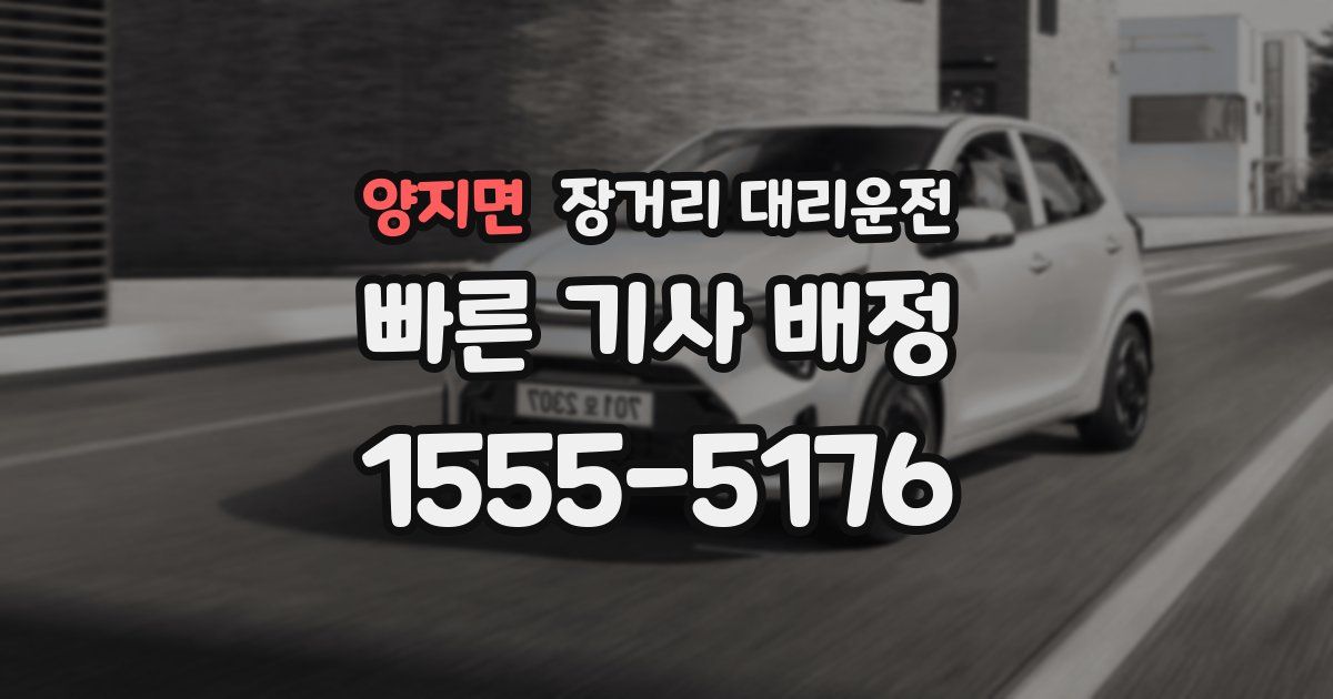 양지면 장거리 대리운전