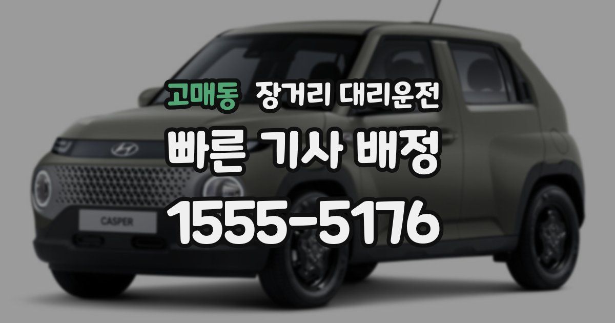 고매동 장거리 대리운전