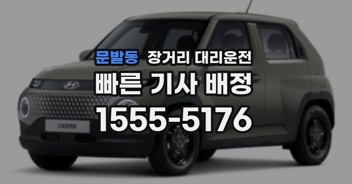 문발동 장거리 대리운전