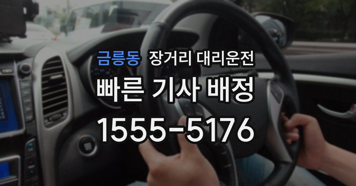 금릉동 장거리 대리운전