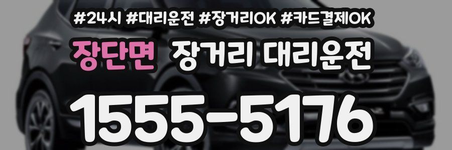 장단면 장거리 대리운전