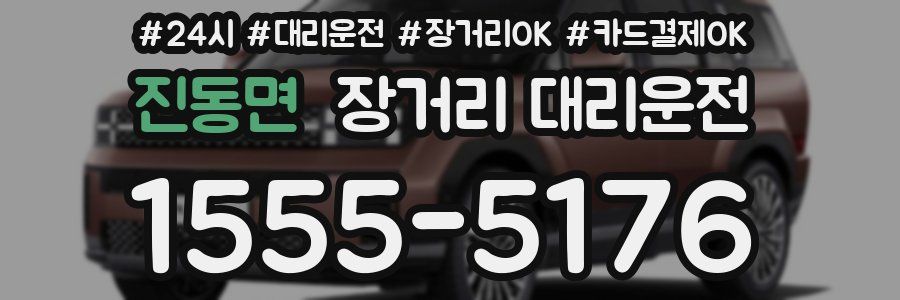 진동면 장거리 대리운전