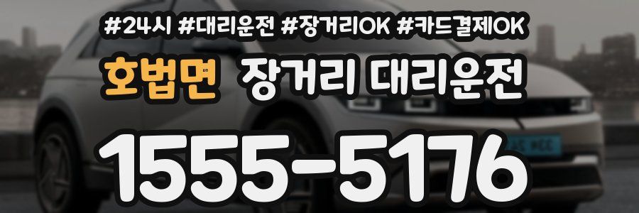 호법면 장거리 대리운전
