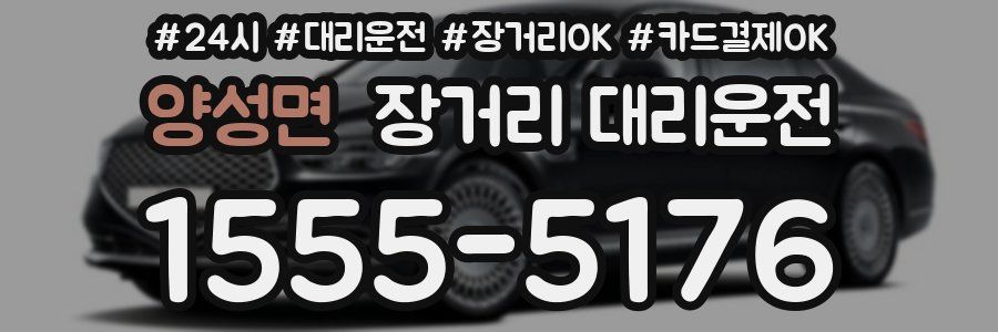 양성면 장거리 대리운전