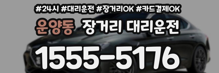 운양동 장거리 대리운전