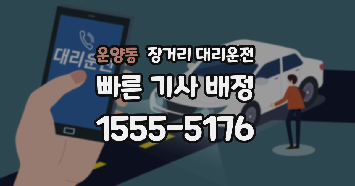 운양동 장거리 대리운전