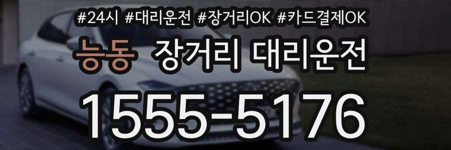 능동 장거리 대리운전