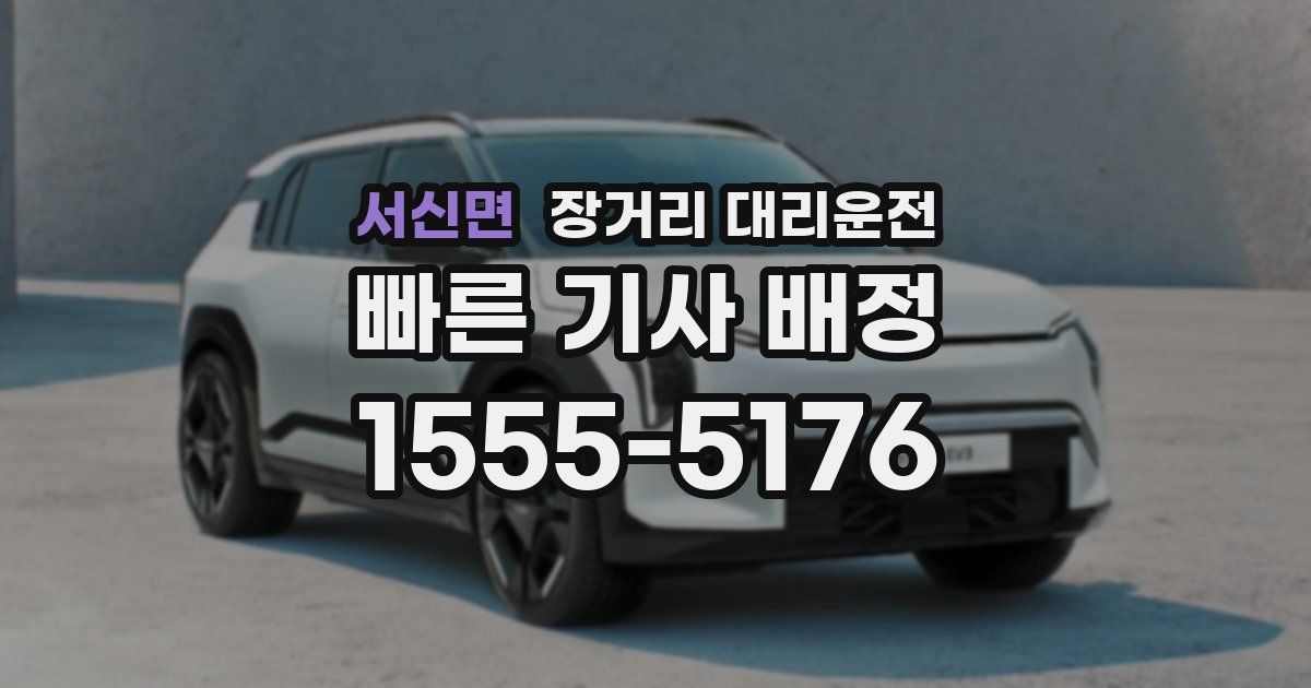 서신면 장거리 대리운전