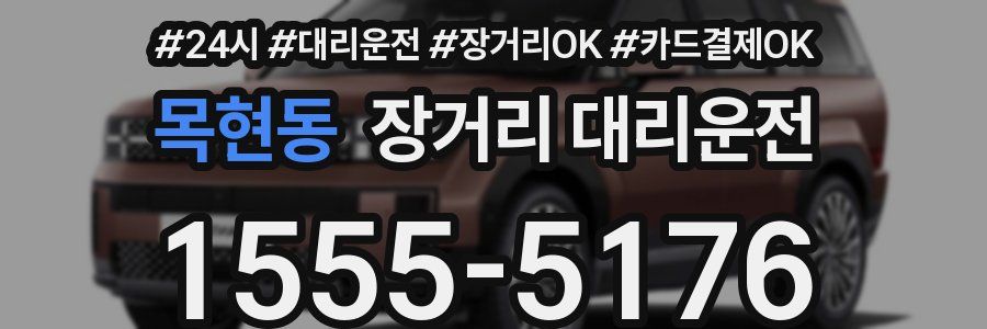 목현동 장거리 대리운전