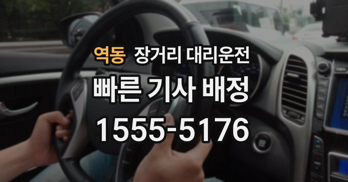 역동 장거리 대리운전