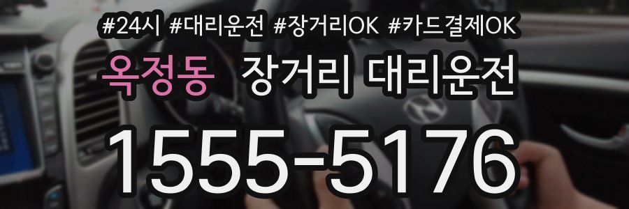 옥정동 장거리 대리운전
