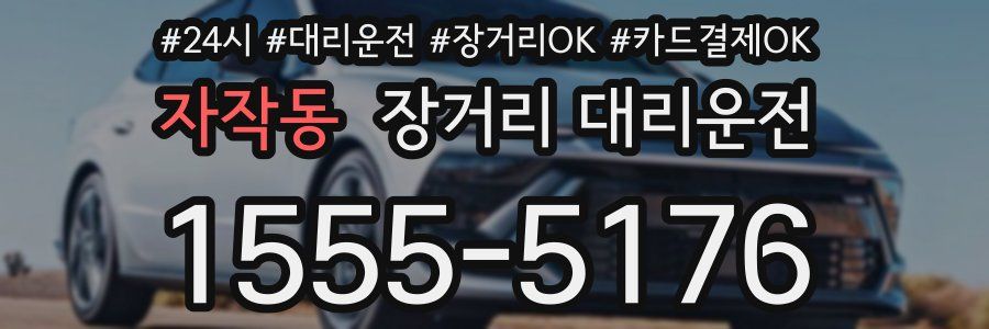 자작동 장거리 대리운전
